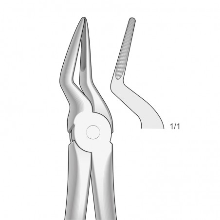 Forceps Raiz Superior Tipo Bayoneta Parte Activa Larga Y Fina